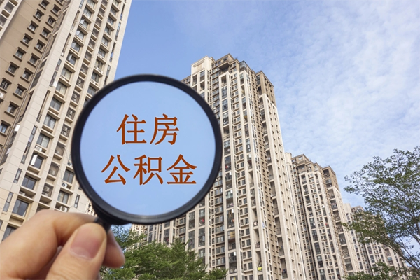 衡东辞职多久公积金可以全部取出来吗（辞职之后公积金多长时间可以取）